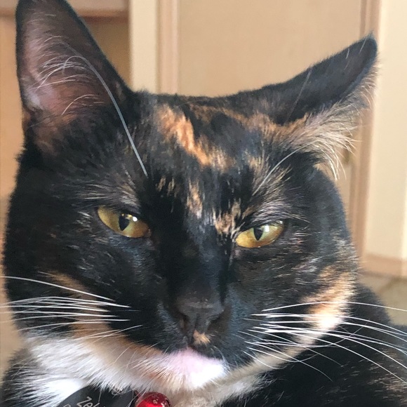 Meet your Posher, Sommer - Picture 1 of 1